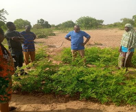 Couverture du projet Sécurité Alimentaire et Résilience Sahel
